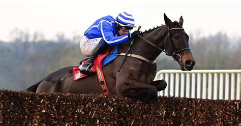 favourite to win cheltenham